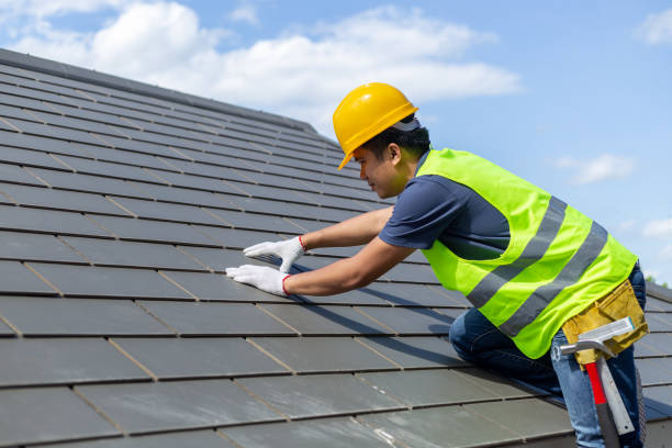 Best Roof Moss and Algae Removal  in North Warren, PA